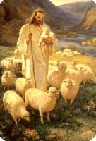 Good Shepherd, The (Pocket Card), by Warner Sallman