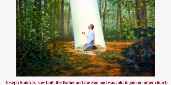 In the Grove, Joseph Smith Jr. saw both the Father and the Son and was told to join no other church.