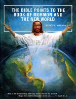 Bible Points to the Book of Mormon and the New World, The, by Roy E. Weldon
