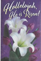 Hallelujah, He Is Risen #2 (Easter Bulletin)