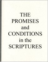 Promises and Conditions in the Scriptures, The--Volume 1, by Dennis Moe