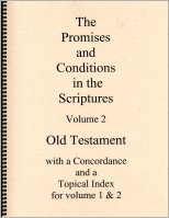 Promises and Conditions in the Scriptures, The--Volume 2, by Dennis Moe