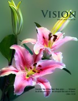 Vision Subscription (Mexico)
